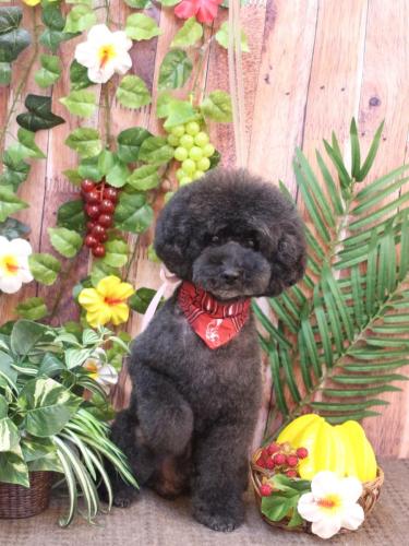 20230819ラブくん